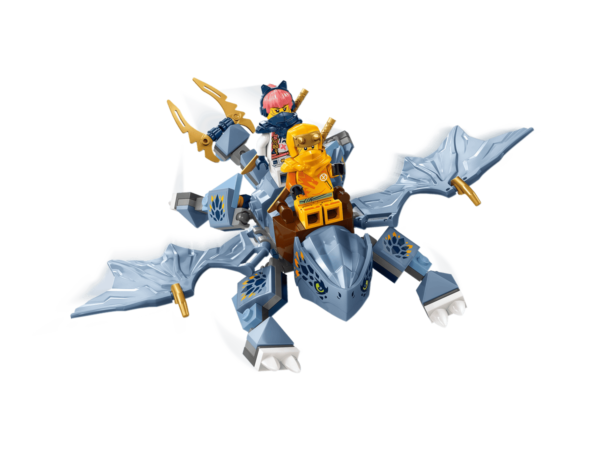 LEGO NINJAGO Dragons Rising Young Dragon Riyu 71810 Building Set